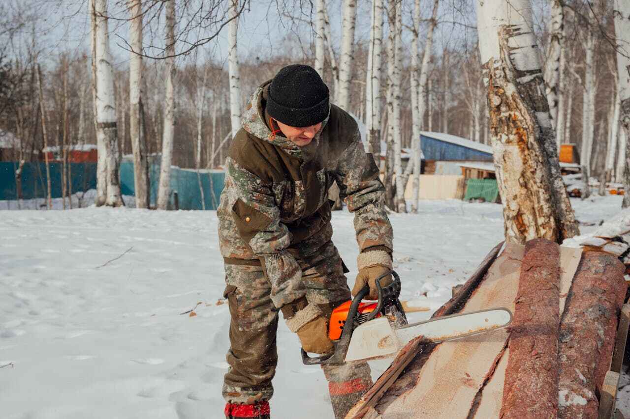 The Steps Involved in Our Tree Care Process in White Oak, TX